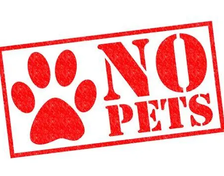 Lägenhet La Morisca